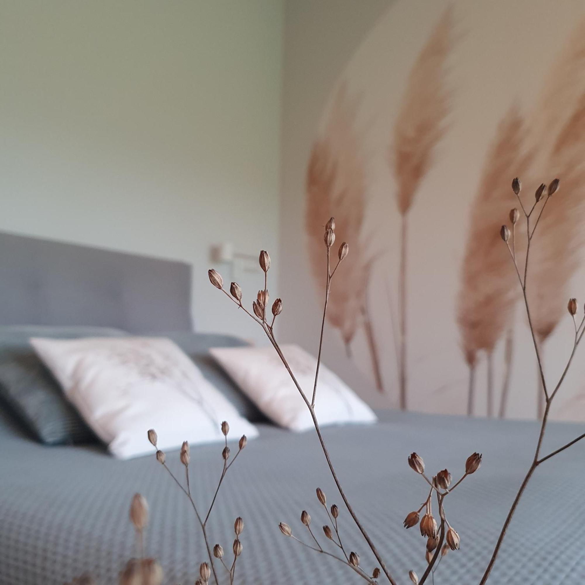 Bed and Breakfast Hippe Schuur Tytsjerk Esterno foto